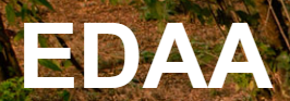 EDAA